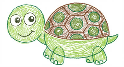 Turtle
